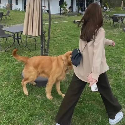 荒唐暴发户